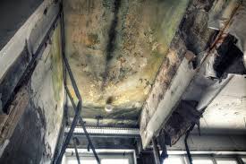 Best Post-Construction Mold Inspection in Ashland, AL